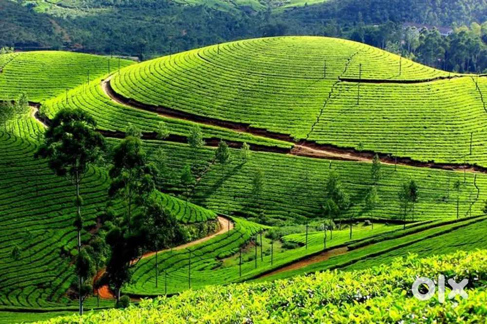 VELANKANNI CHURCH TOUR