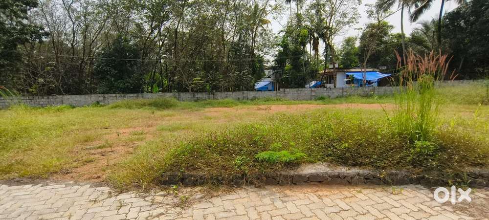 Villa plot for sale at kizhakkambalam