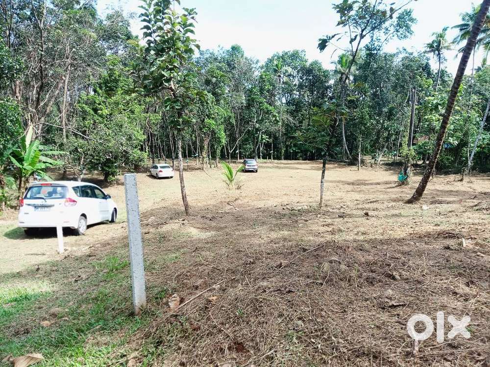 Kothamagalam - Ramalloor 50 Cents for Home