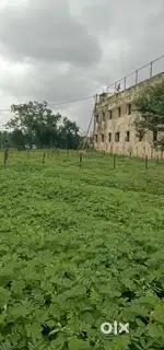 रवींद्र नाथ टागोर के पीछे