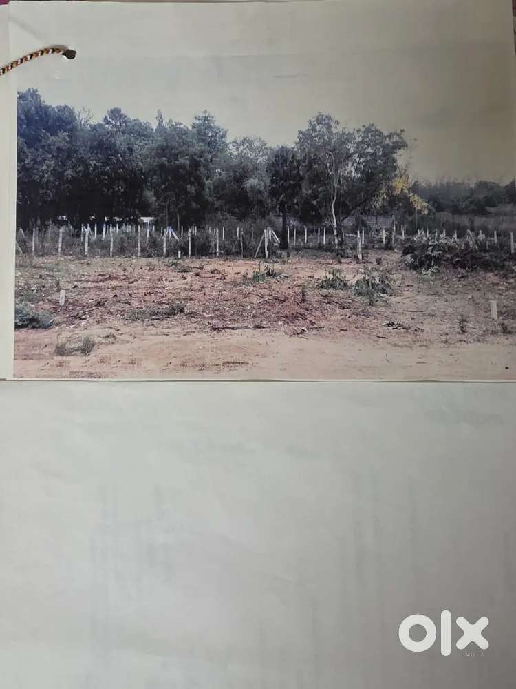 Dtcp open plot for sale