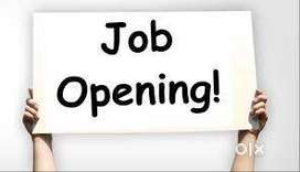 Software Developers