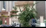 3 bhk independent house available for rent