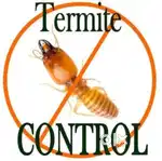 Pest control services in Chennai Poonamallee circle with warranty