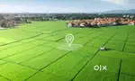 Vet City Plots Jhajjar offers premium residential and commercial plots