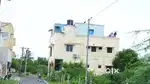 Intimate Fashion Near Resale Property For Sale (650)