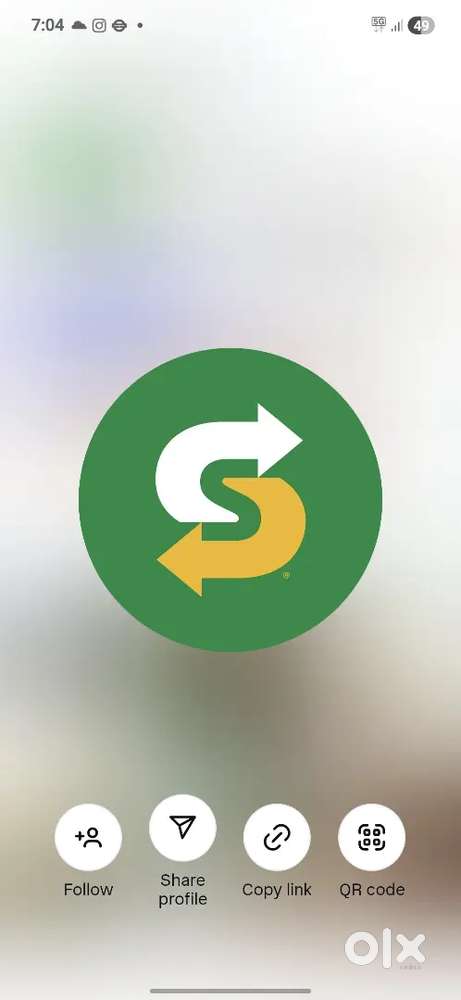 Subway  subs
