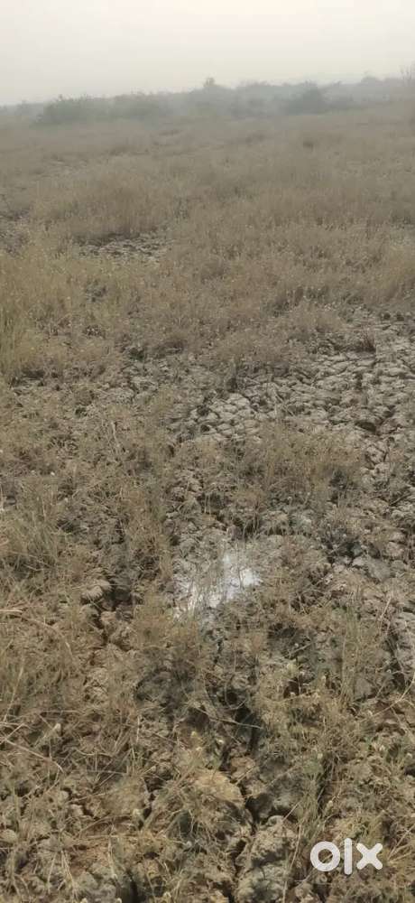 Residential plus commercial plots