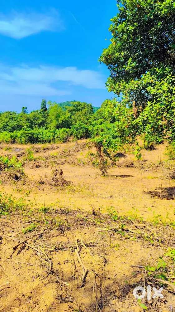 2.9KM FROM GOA MH BORDER, PRICE@₹1299/SQ MTS, AREA 1025SQ MTS