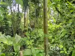 Plot for sale 6.83 cent. 6 km away from infopark