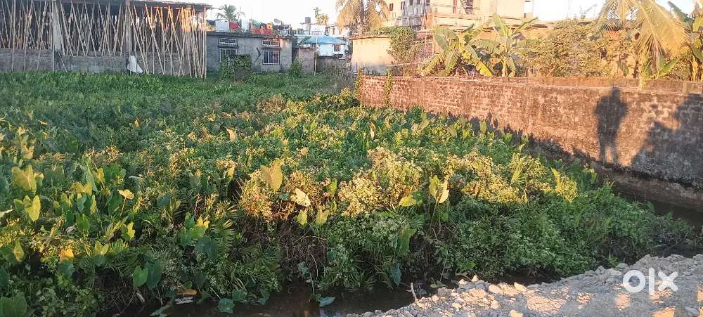Hathir path 3 khatha plot for sale 16 feet bylane