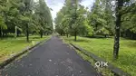 Angamaly  Karukutty  20 cent house plot for sale immediately