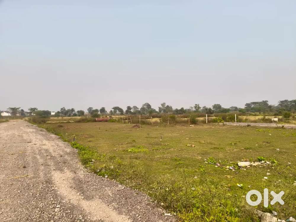 Coverd campus, 1000 to 3000 square feet plot