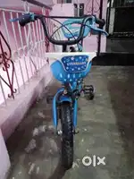 साइकिल  EVERREDY