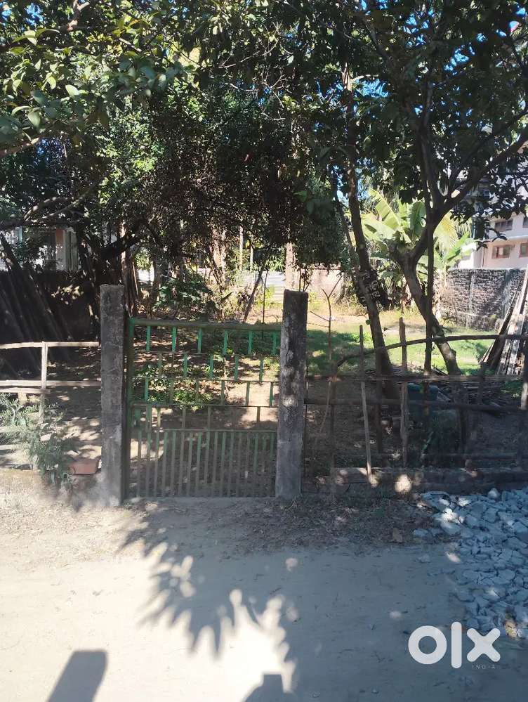 1katha5lessa mazgaon