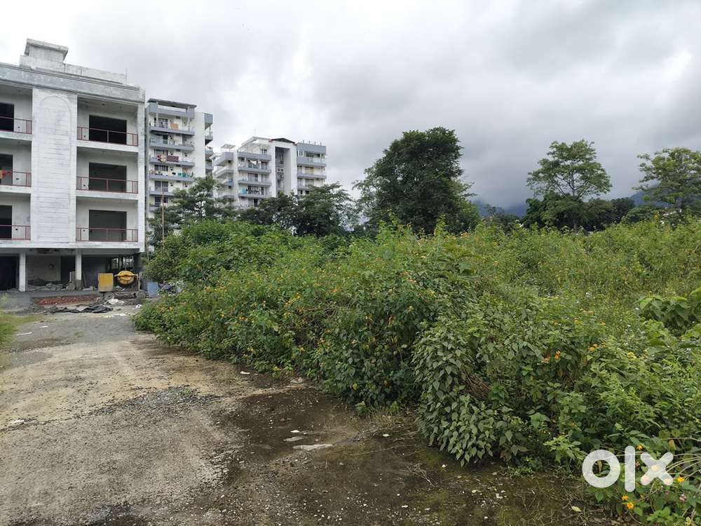 Plot for sale at a reasonable price