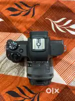 Canon M50 mark 2