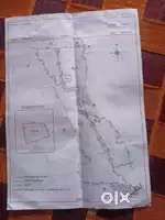 Koovorcalicut