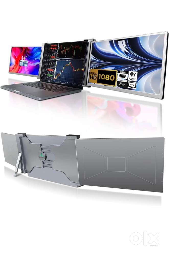 Portable dual screen