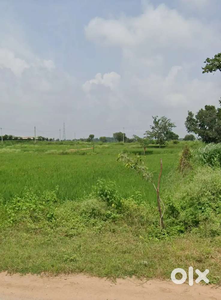 Agriculture land with lavanpatta comes under jinnaram municipality