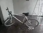 2 year old cycle
