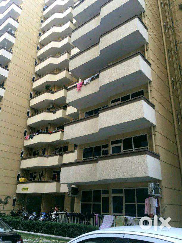 Female Roommate/Room Partner