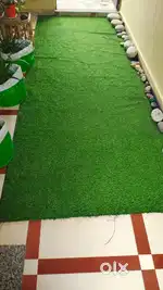 Green grass