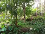 Residential Land For Sale