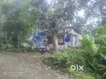 House and properties