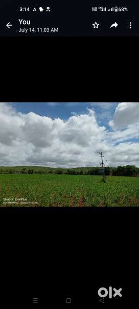 Agricultural Land sale