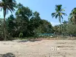 കണിച്ചുകുളങ്ങരയിൽ
5,6,7,8,9,10 സെന്റ്  House plots available