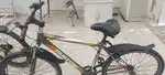 Fantom Comnay cycle