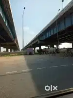 Sona Highway near farmhouse