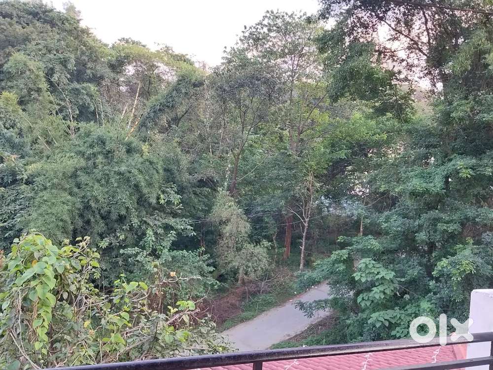 Farm house land for sale in mid of the town