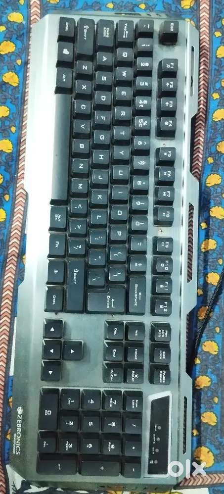 Zebronics keyboard and mouse