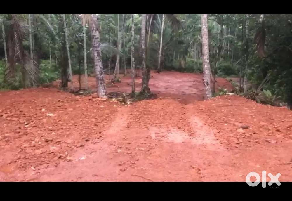 Kedavoor Thamarassery