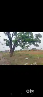Open plots for sale in adibatla