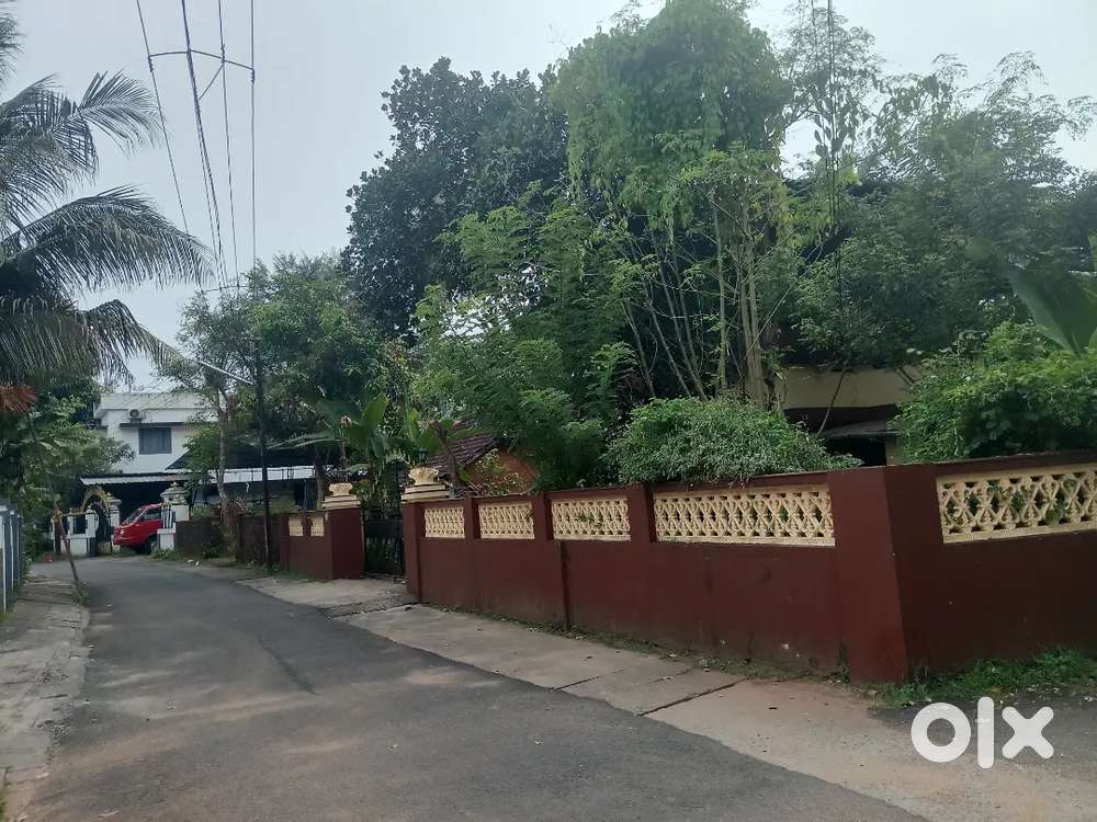 Plot for sale