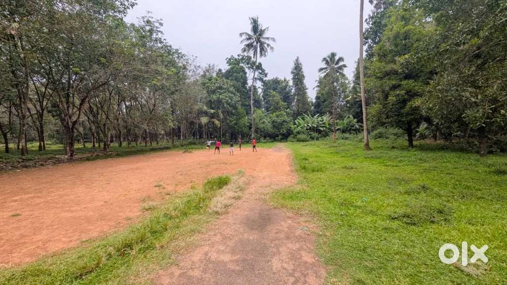 Angamaly Near Apollo Hospital Residential Plots 7 Min Drive 90% Loan