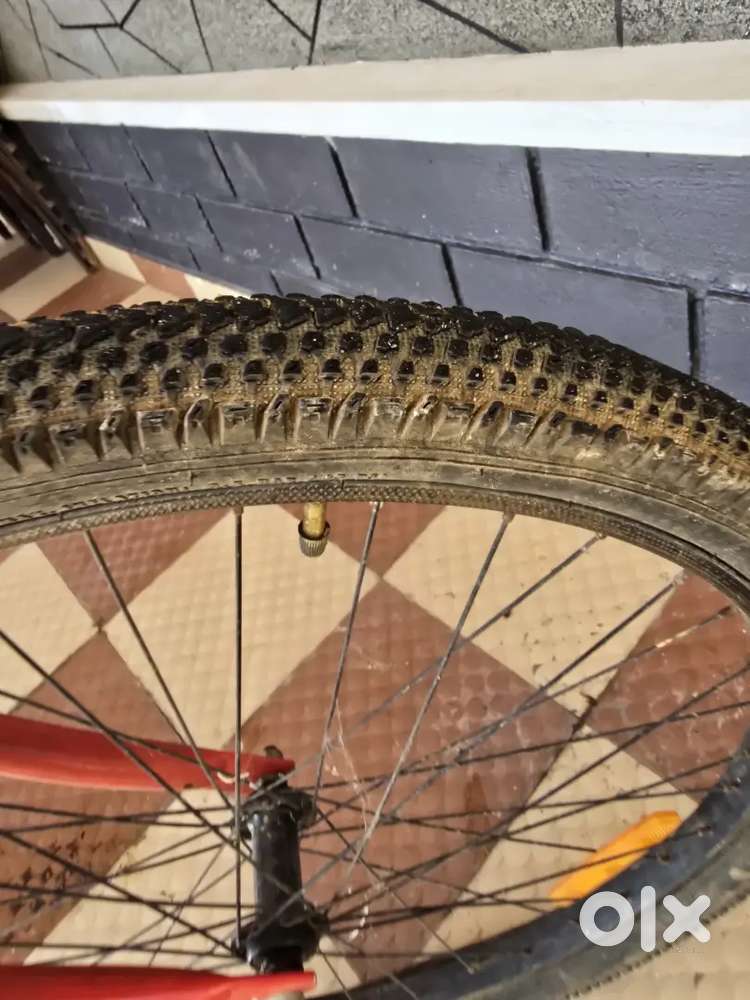 Up to 1 1/2 years only