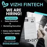 Sales& Marketing executive