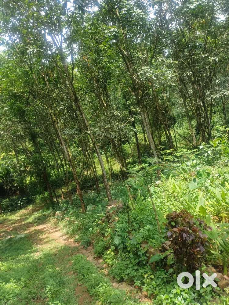 1 acre land
