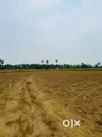 Plots on Highway