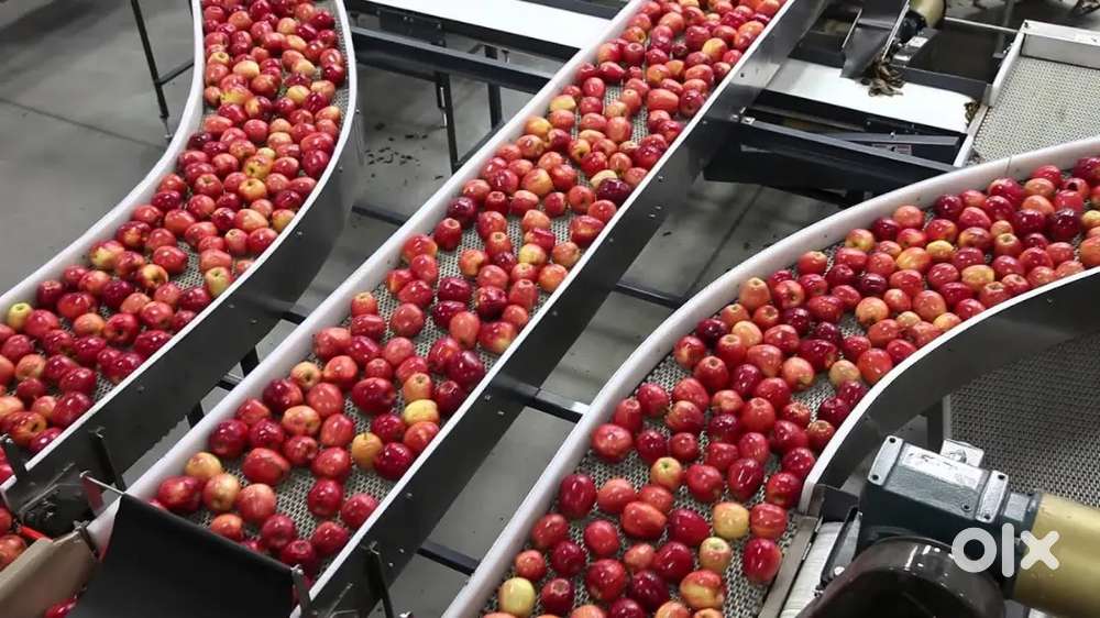 WANTED MALE / FEMALE PACKING HELPERS