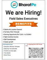 TM & FSE Required for BharatPe
