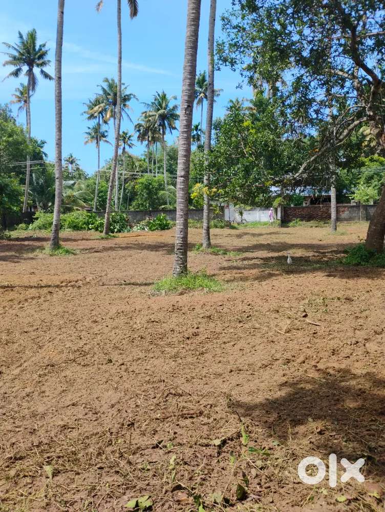 PARAVOOR KOTTAPURAM 30 CENTVASTHU VILPANAYIKK