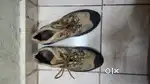Woodland out door shoes for men