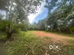 Residential plot for sale in Maruthoor( 40 cent)  Near MC Road