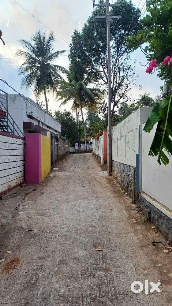 An old 8 BHK HOUSE WITH 7 CENTSND FOR SALE IN VALIAVILA THIRUMALA