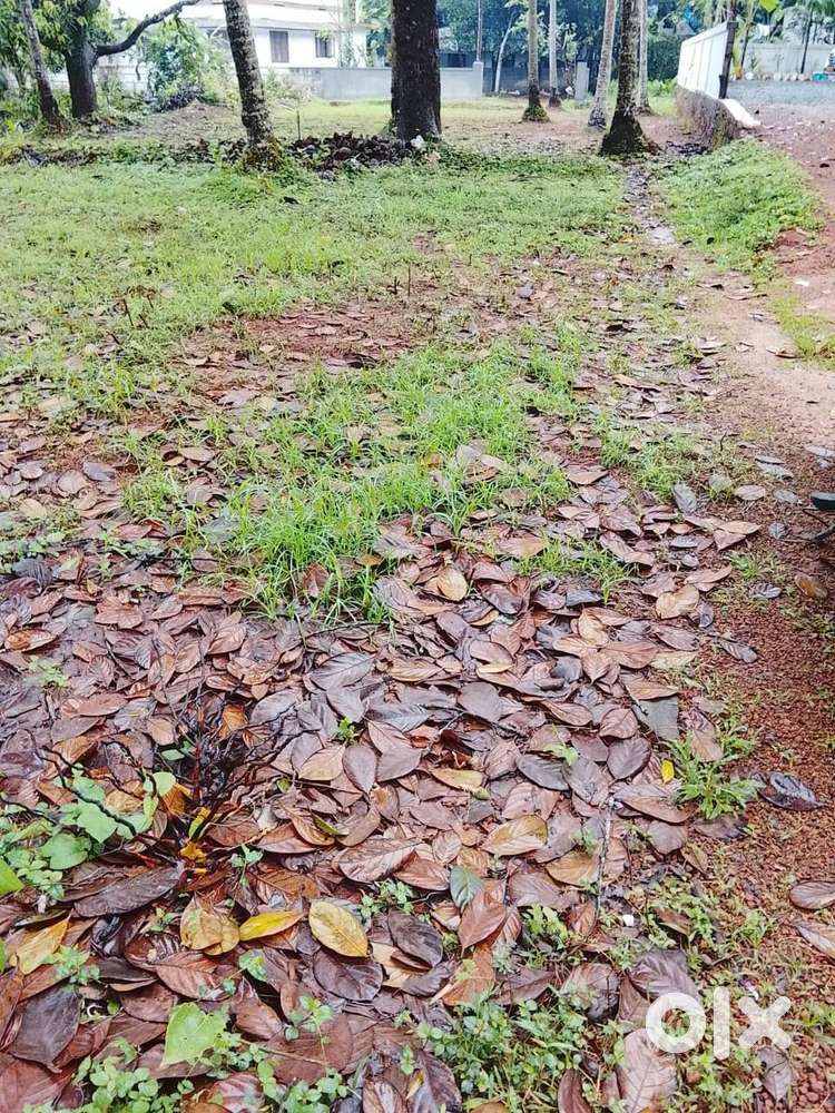 10 CENT LAND FOR SALE NEAR MIMS HOSPITAL CALICUT